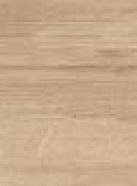 BELLA SYLVA<br> NML15906