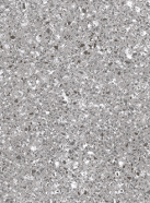 NLA3060A02
