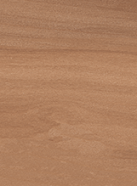 BELLA SYLVA<br> NML15901