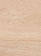 BELLA SYLVA<br> NML15902