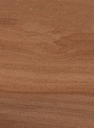 BELLA SYLVA<br>NML15903