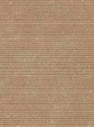 Pietra Scuro<br> NML36BD07