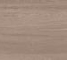 BELLA SYLVA<br> NML15907