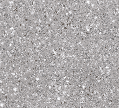 NLA3060A02