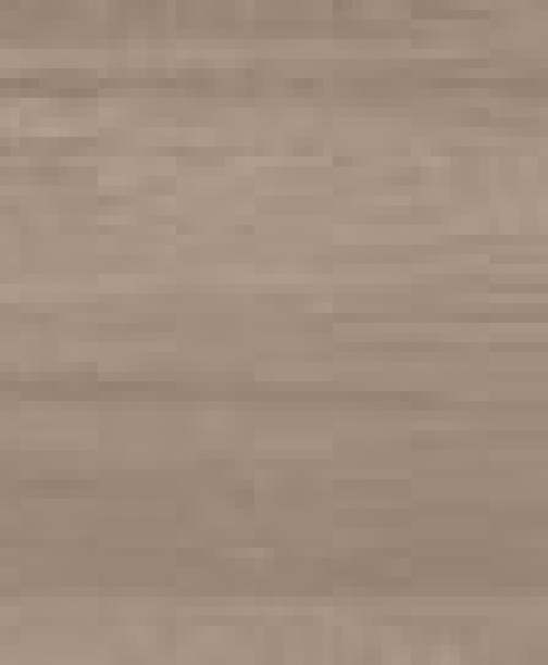 BELLA SYLVA<br> NML15907
