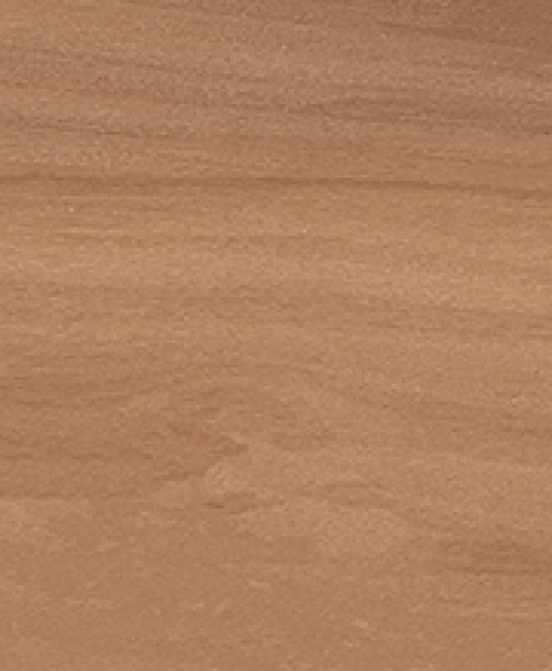 BELLA SYLVA<br> NML15901