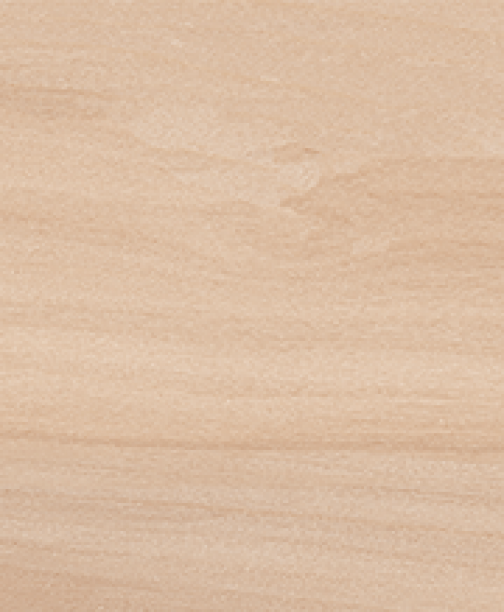 BELLA SYLVA<br> NML15902