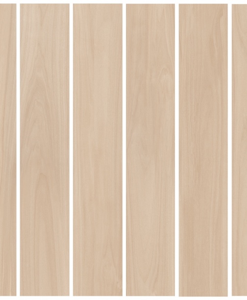 BELLA SYLVA<br> NML15902