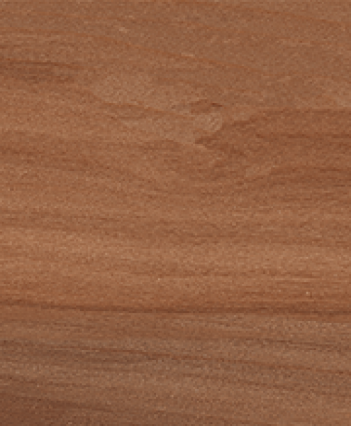 BELLA SYLVA<br>NML15903