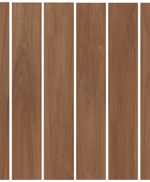 BELLA SYLVA<br>NML15903